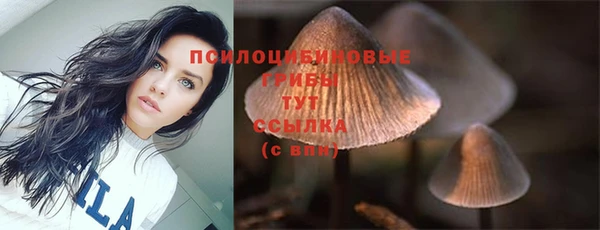 винт Балахна